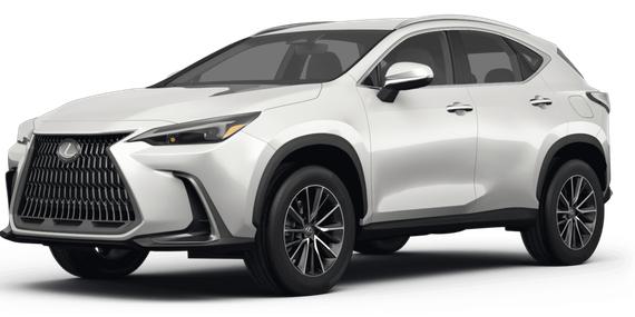 LEXUS NX 2024 2T2GDCAZ0RC011712 image