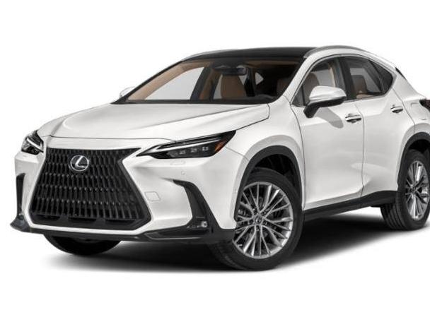 LEXUS NX 2024 2T2HKCEZ4RC023639 image