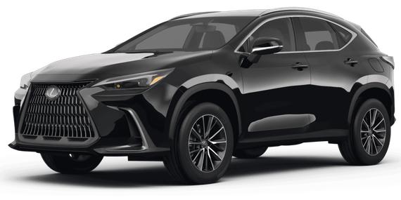 LEXUS NX 2024 2T2GDCAZ2RC010884 image