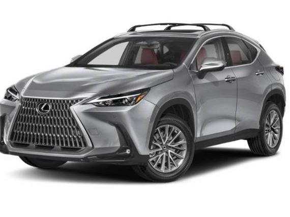 LEXUS NX 2024 2T2GGCEZ7RC054073 image