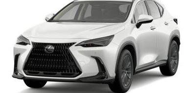 LEXUS NX 2024 JTJHGCEZ6R5007314 image