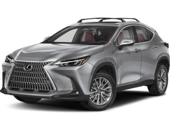 LEXUS NX 2024 2T2GGCEZ8RC038206 image