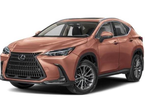 LEXUS NX 2024 2T2AGCEZ8RC040236 image