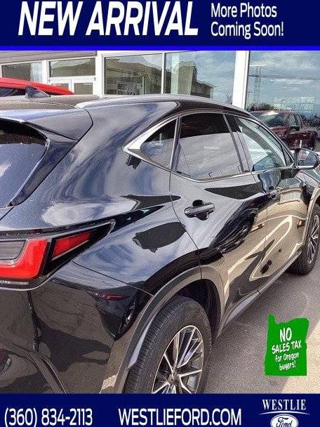 LEXUS NX 2024 JTJGKCEZ7R2036557 image