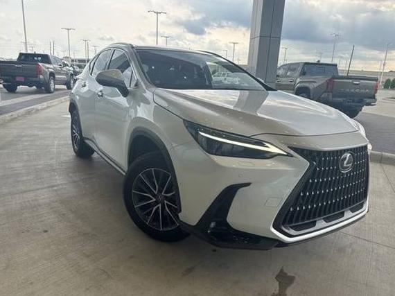 LEXUS NX 2024 JTJHKCEZ4R5010176 image
