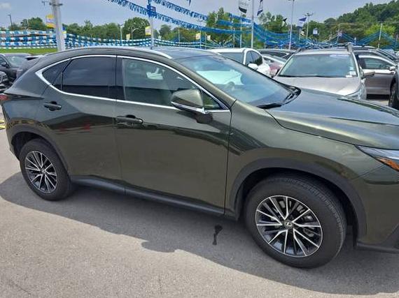 LEXUS NX 2024 2T2GDCAZ1RC010231 image