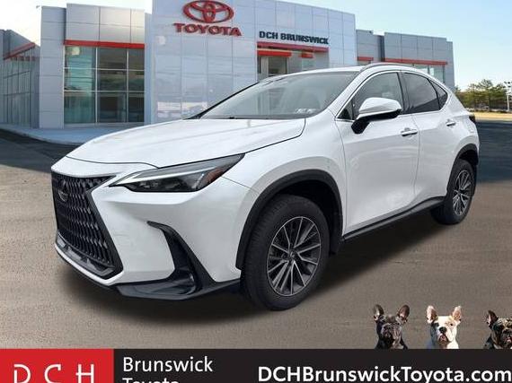 LEXUS NX 2024 JTJAGCEZXR5005826 image