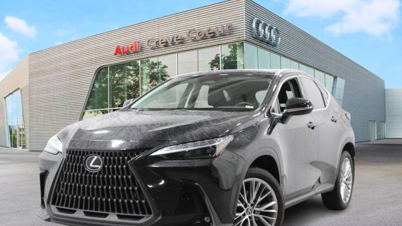 LEXUS NX 2024 2T2HGCEZ6RC035972 image