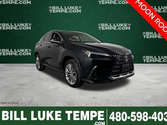 LEXUS NX 2024 2T2HGCEZ1RC036415 image