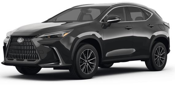 LEXUS NX 2024 2T2ADCAZ1RC012986 image