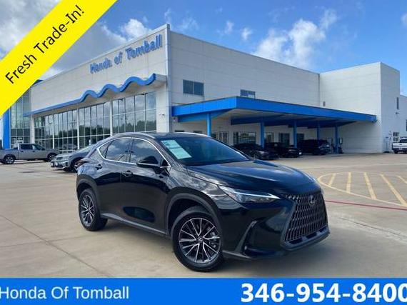 LEXUS NX 2024 2T2GDCAZ7RC015336 image