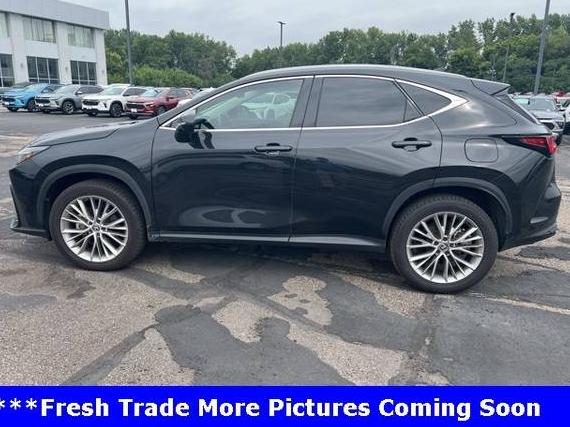 LEXUS NX 2024 2T2HGCEZXRC035747 image