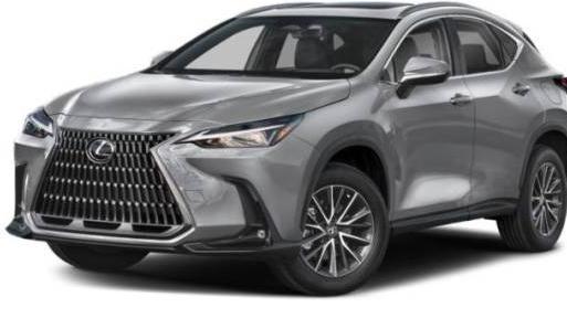 LEXUS NX 2024 2T2ADCAZ1RC014513 image