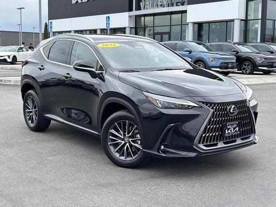 LEXUS NX 2024 2T2ADCAZ2RC006243 image