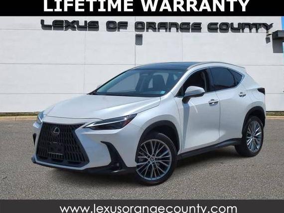 LEXUS NX 2024 2T2HGCEZ1RC038360 image