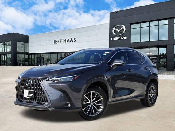 LEXUS NX 2024 2T2GDCAZ9RC008632 image LEXUS NX 2024 2T2GDCAZ9RC008632 image