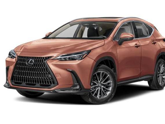 LEXUS NX 2024 2T2AGCEZ8RC045436 image