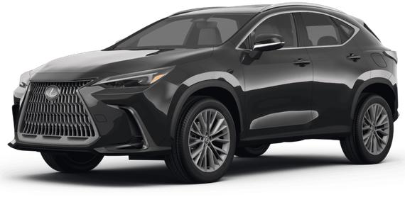 LEXUS NX 2024 2T2HGCEZ8RC032216 image