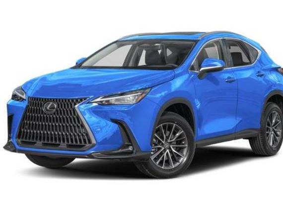 LEXUS NX 2024 2T2GDCAZ3RC011977 image