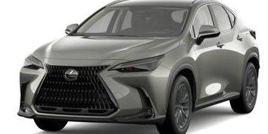 LEXUS NX 2024 2T2ADCAZ3RC013413 image