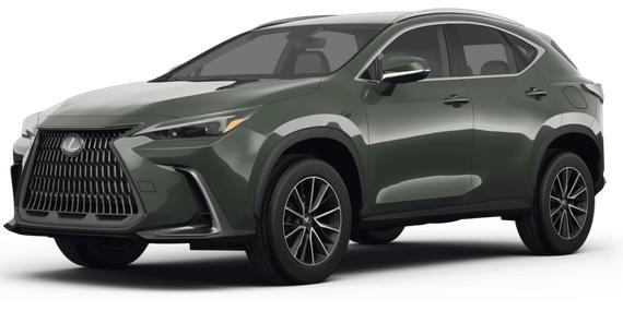 LEXUS NX 2024 2T2ADCAZ0RC011960 image