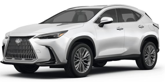 LEXUS NX 2024 2T2HGCEZ0RC039709 image