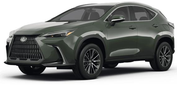 LEXUS NX 2024 2T2GDCAZ7RC009083 image