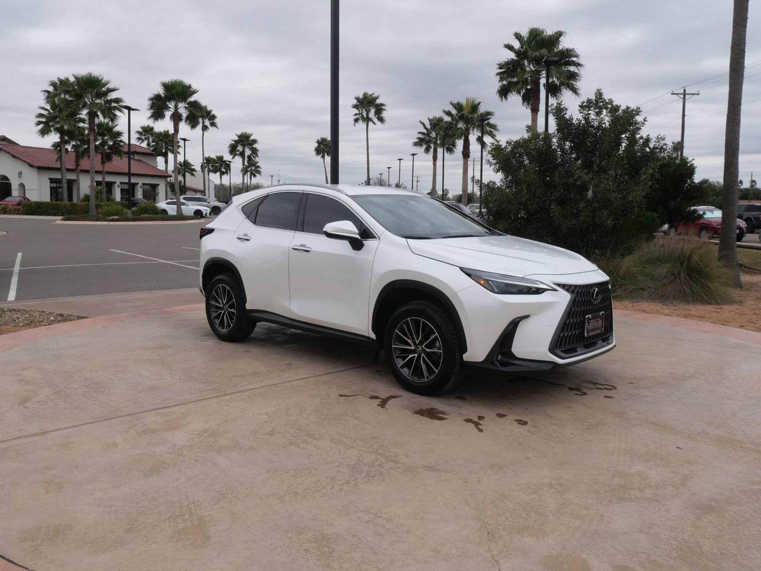 LEXUS NX 2022 JTJADCAZXN2001060 image