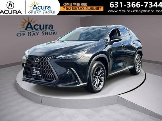LEXUS NX 2022 2T2GGCEZ1NC001816 image