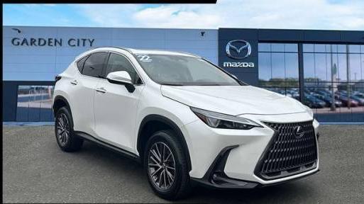 LEXUS NX 2022 JTJAGCEZXN5001544 image