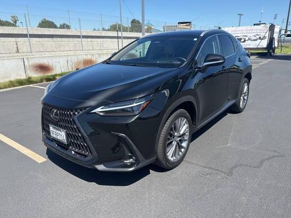 LEXUS NX 2022 2T2HKCEZ6NC004794 image