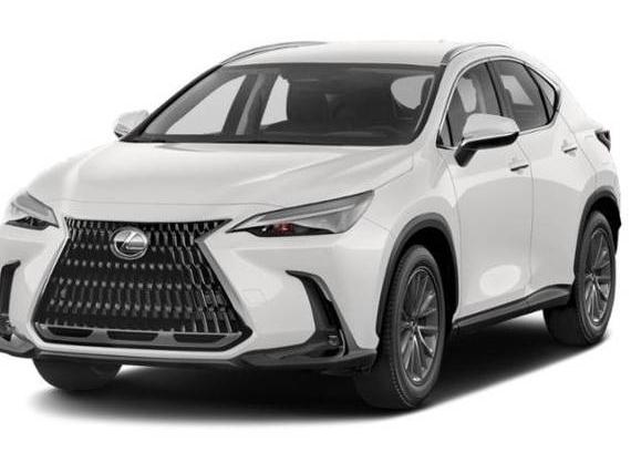 LEXUS NX 2022 2T2ADCEZ8NC001732 image