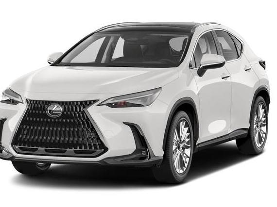 LEXUS NX 2022 2T2GKCEZ8NC004985 image