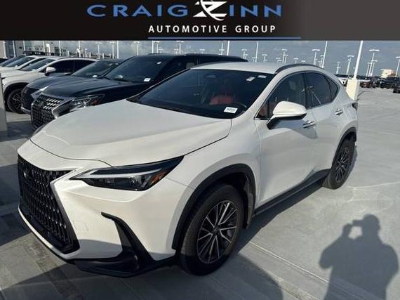 LEXUS NX 2022 JTJADCAZ1N5001768 image