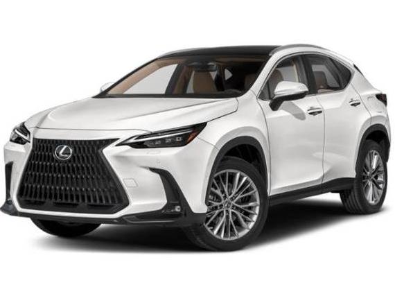 LEXUS NX 2022 2T2HKCEZ4NC004583 image LEXUS NX 2022 2T2HKCEZ4NC004583 image