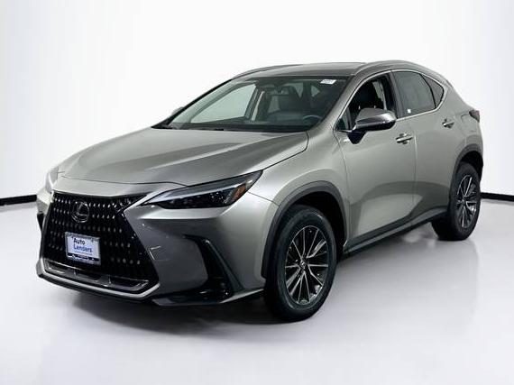 LEXUS NX 2022 2T2GGCEZ6NC008471 image