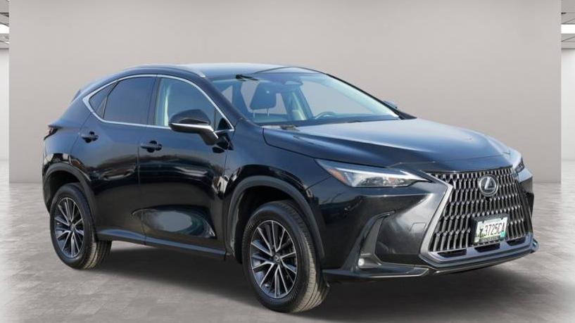 LEXUS NX 2022 2T2ADCAZ0NC001018 image