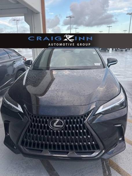 LEXUS NX 2022 2T2GGCEZ3NC010906 image