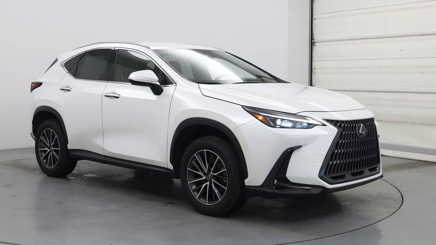 LEXUS NX 2022 JTJADCAZ1N5004413 image