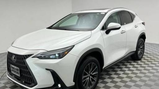 LEXUS NX 2022 2T2GGCEZ2NC008094 image