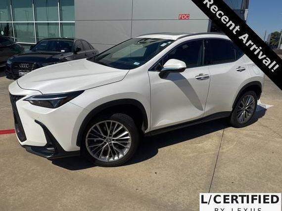 LEXUS NX 2022 2T2GGCEZ2NC012954 image