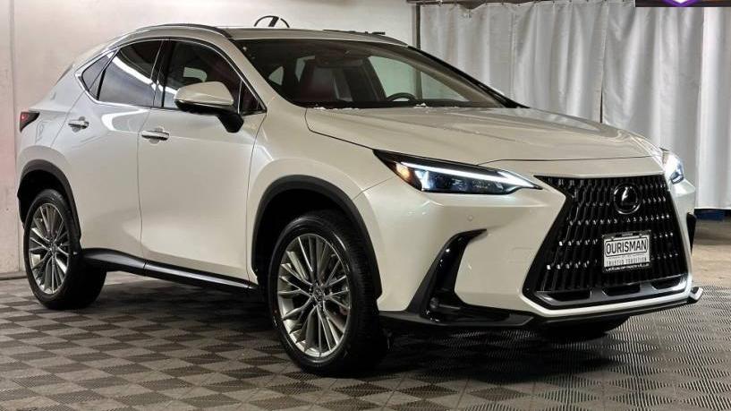 LEXUS NX 2022 JTJHKCEZ3N5001933 image