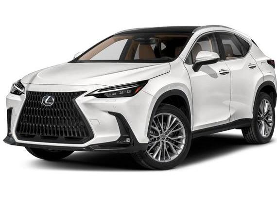 LEXUS NX 2022 2T2HKCEZ3NC006244 image