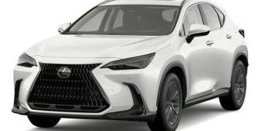 LEXUS NX 2022 2T2KGCEZ8NC013200 image