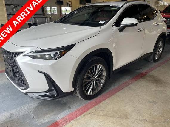 LEXUS NX 2022 2T2GKCEZ5NC003390 image