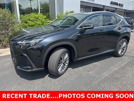 LEXUS NX 2022 2T2GGCEZ3NC013059 image