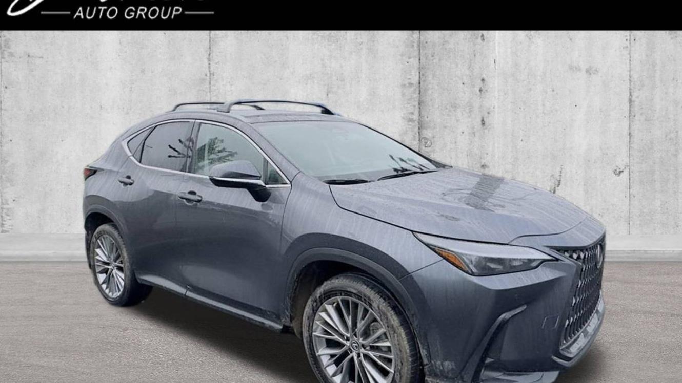 LEXUS NX 2022 2T2GKCEZ1NC008733 image