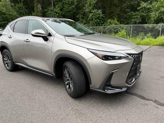LEXUS NX 2022 2T2GGCEZXNC001703 image