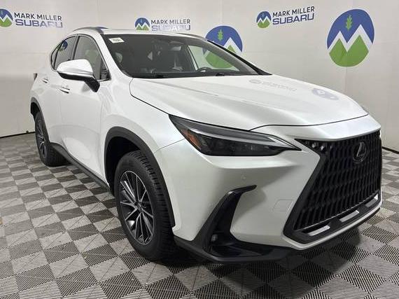 LEXUS NX 2022 JTJGKCEZ9N5005500 image