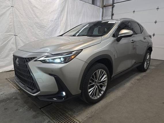 LEXUS NX 2022 JTJGGCEZ8N5001181 image